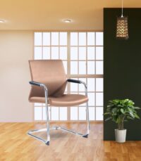 Mars Meeting chair