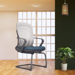 SLZ_VEGA Meeting Chair