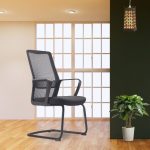 SLV_PEGASUS Meeting Chair