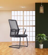 SLV_PEGASUS Meeting Chair